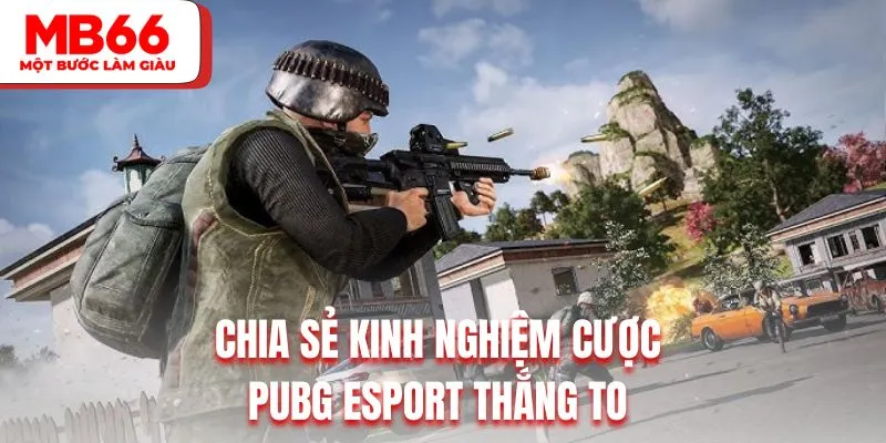 Chia sẻ kinh nghiệm cược PUBG Esport thắng to